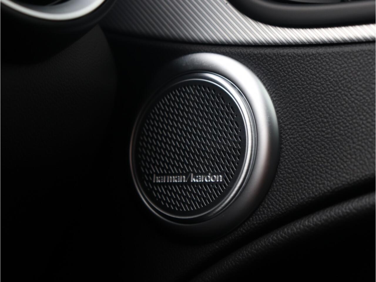 Alfa Romeo Stelvio 2.0 Turbo 280 PK AWD Competizione | Veloce | Harman | BTW | 21"