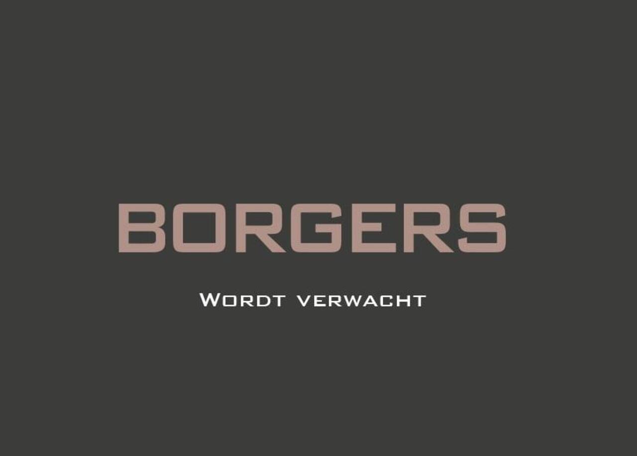 Audi Q8 60 TFSIe Oak Green l B&O Adv l Carbon l Volleder