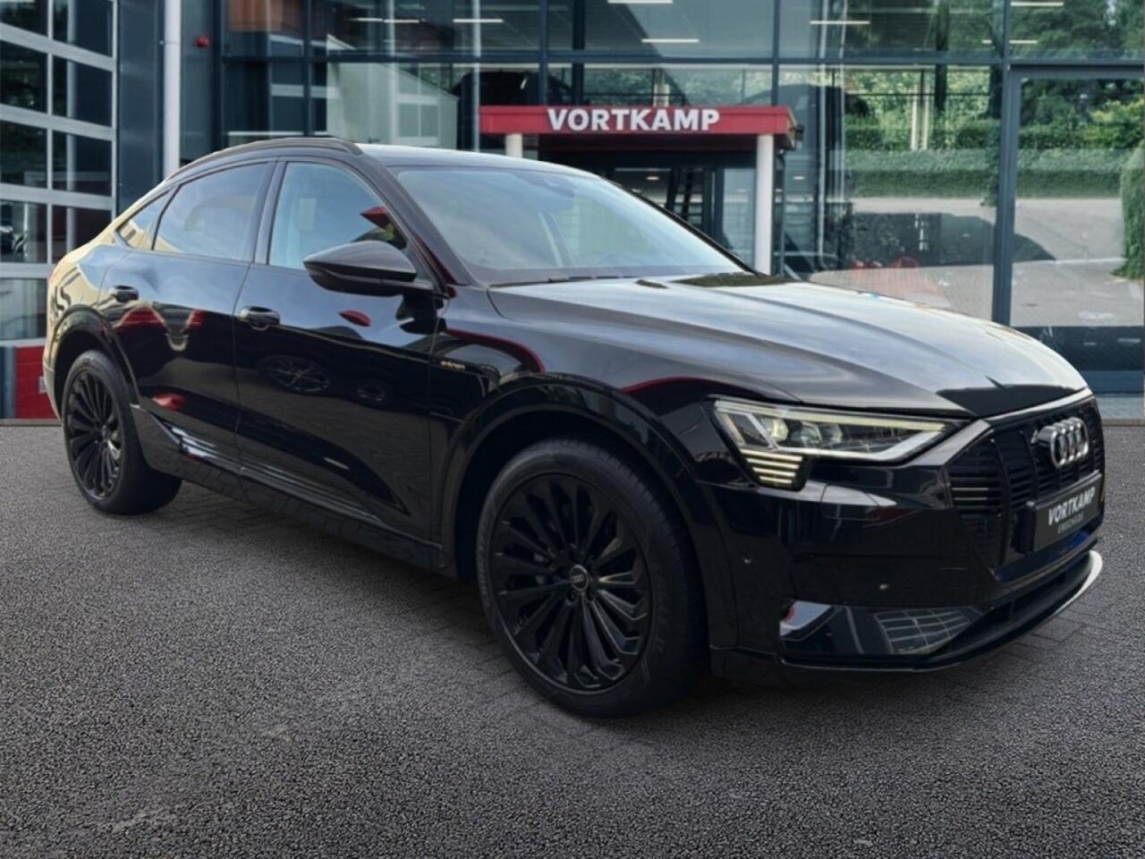 Audi e-tron 50 QUATTRO 360-CAMERA/TREKHAAK/LEDER/MEMORY/STOEL-VENT/NAVI/E-KLEP