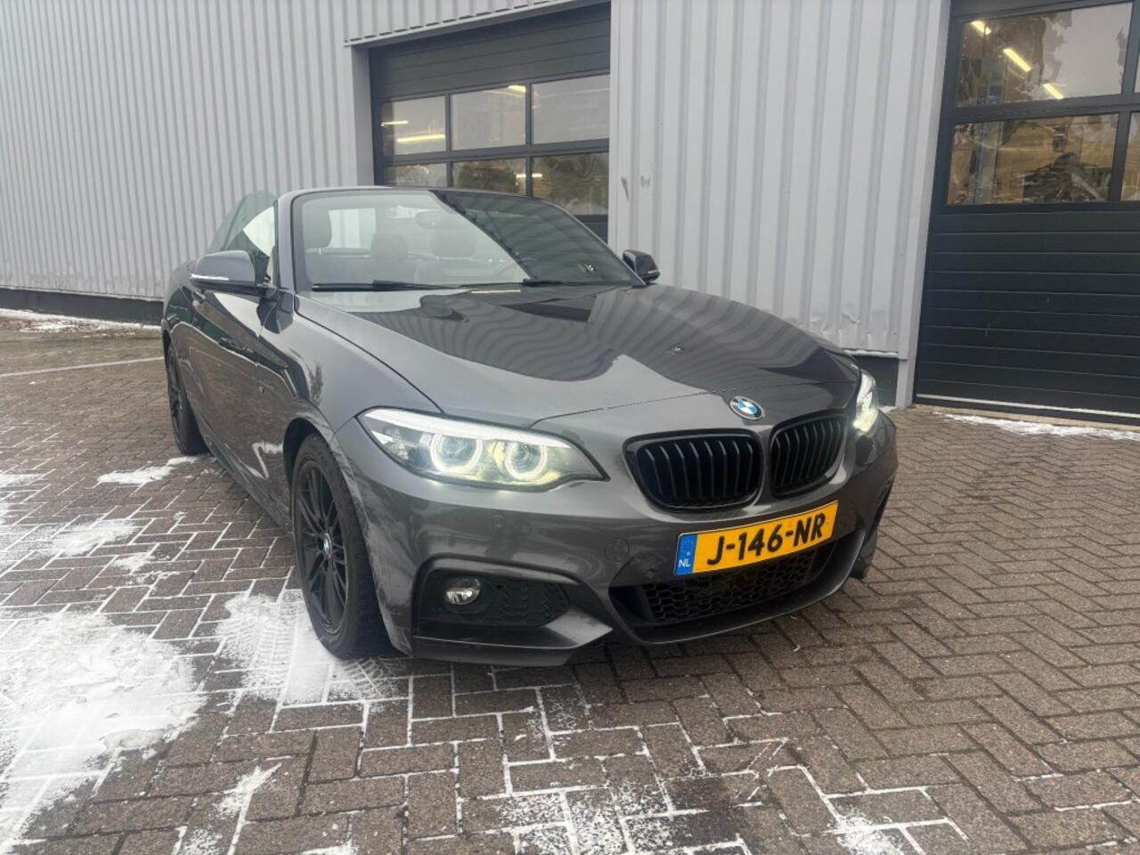 BMW 2-SERIE 220I High Executive M-sport I Alcantara I Navi