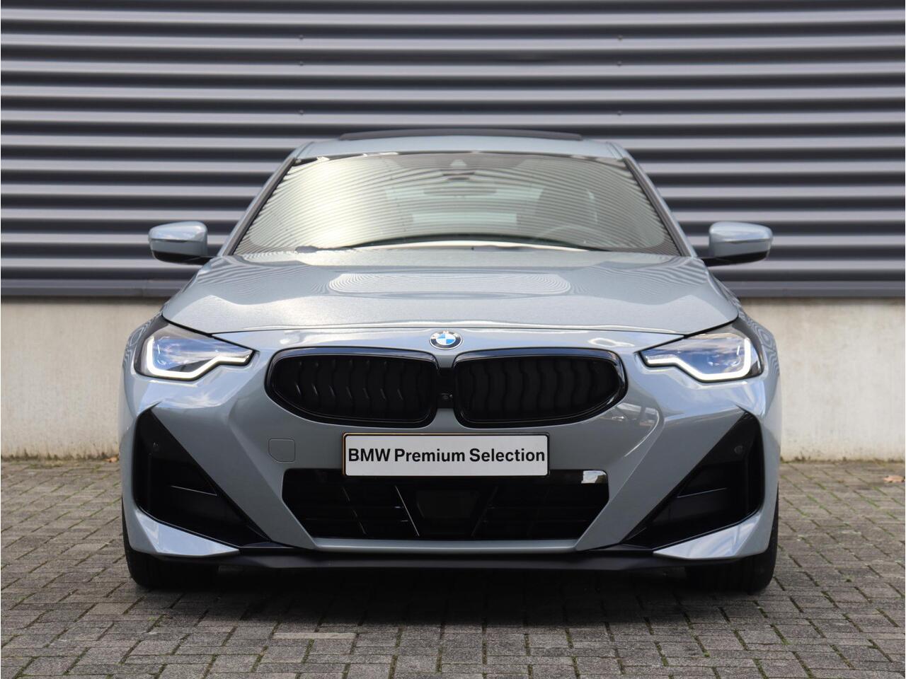 BMW 2-SERIE Coupé 220i | M Sportpakket Pro | Panodak | Head-Up | Parking Assistant Plus | Driving Assistant | Comfort Access | HiFi | 19'' LMV