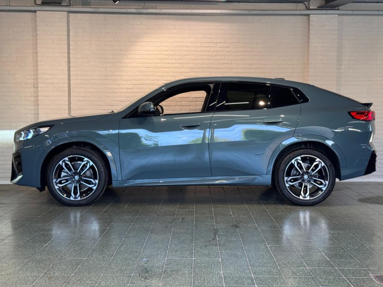 BMW X2 sDrive20i M-Sport Pro Pano Alcantara Camera Keyless 19''