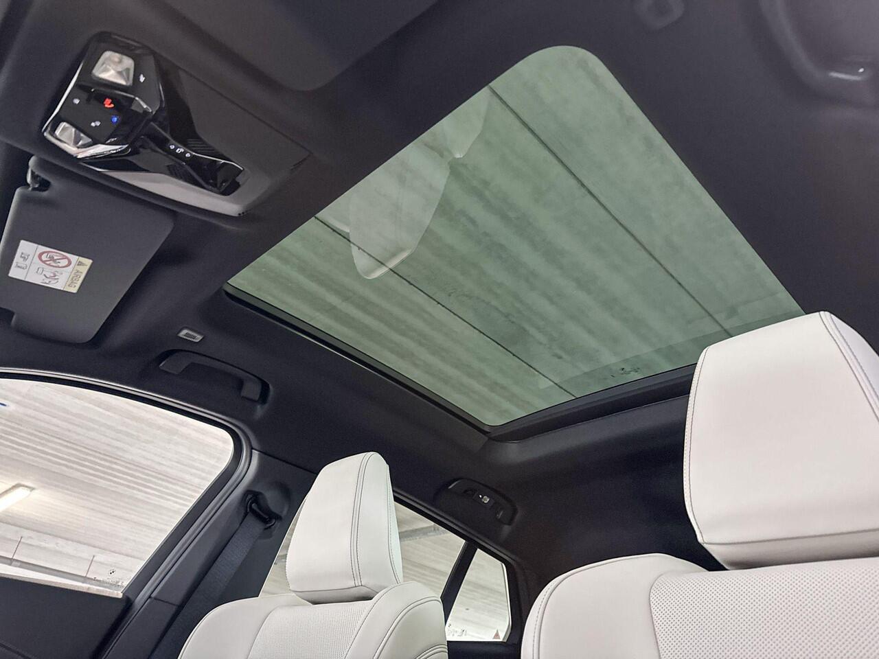 BMW X2 sDrive20i | M Sportpakket | Premium Pack | Trekhaak