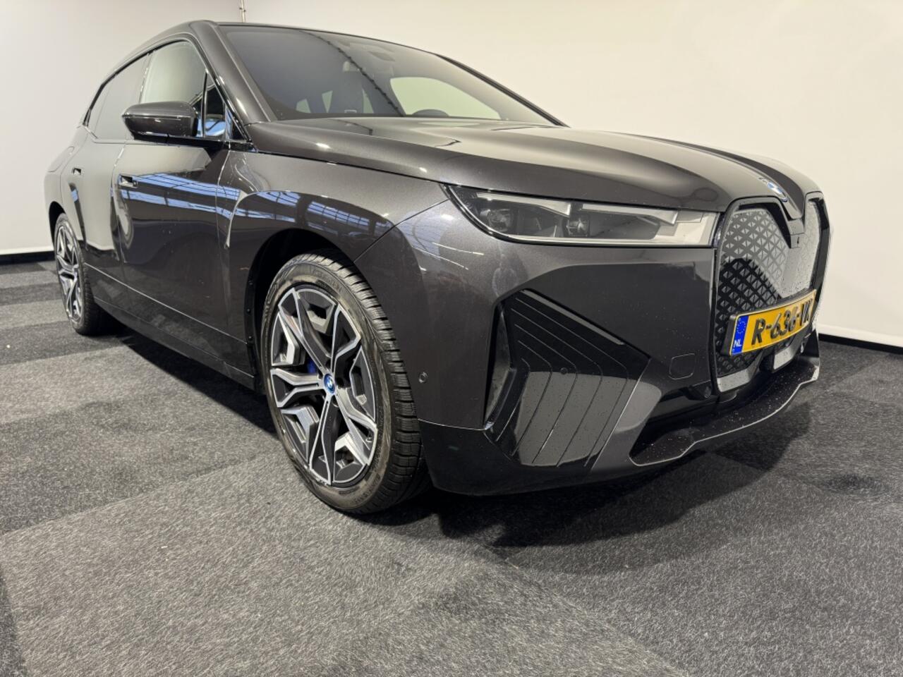 BMW iX High Executive 77 kWh | Laserlicht | Driving Assistant Professio