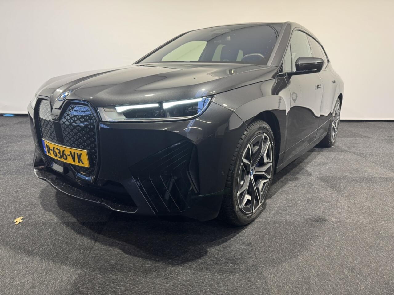 BMW iX High Executive 77 kWh | Laserlicht | Driving Assistant Professio