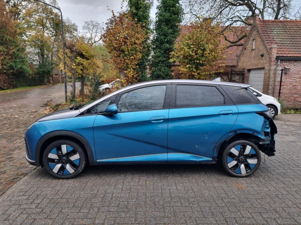 BYD Dolphin Design 60.4 kWh