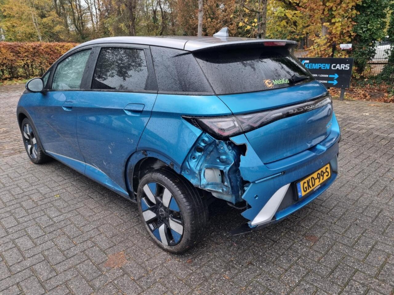 BYD Dolphin Design 60.4 kWh