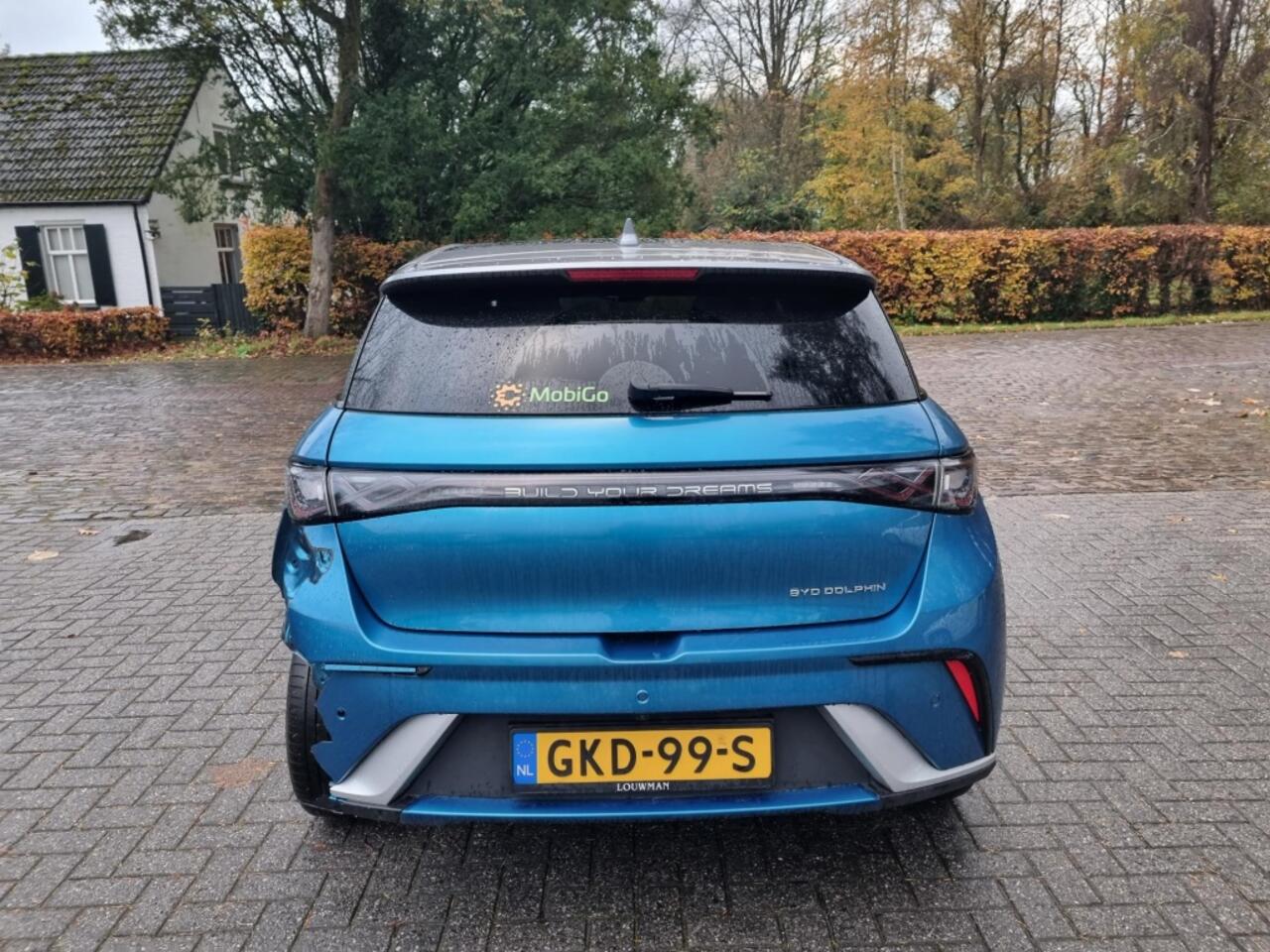 BYD Dolphin Design 60.4 kWh