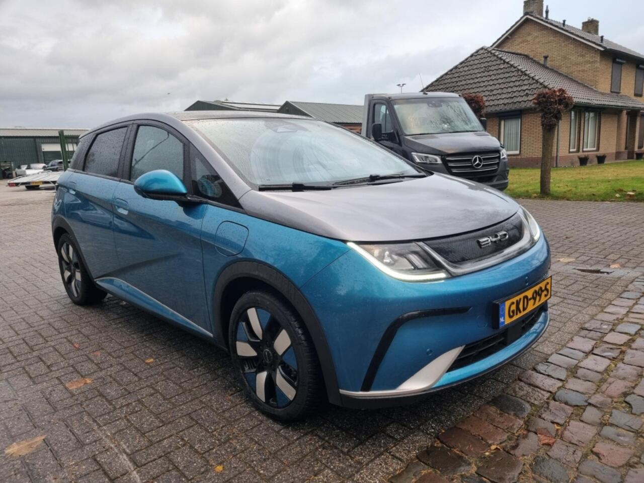 BYD Dolphin Design 60.4 kWh