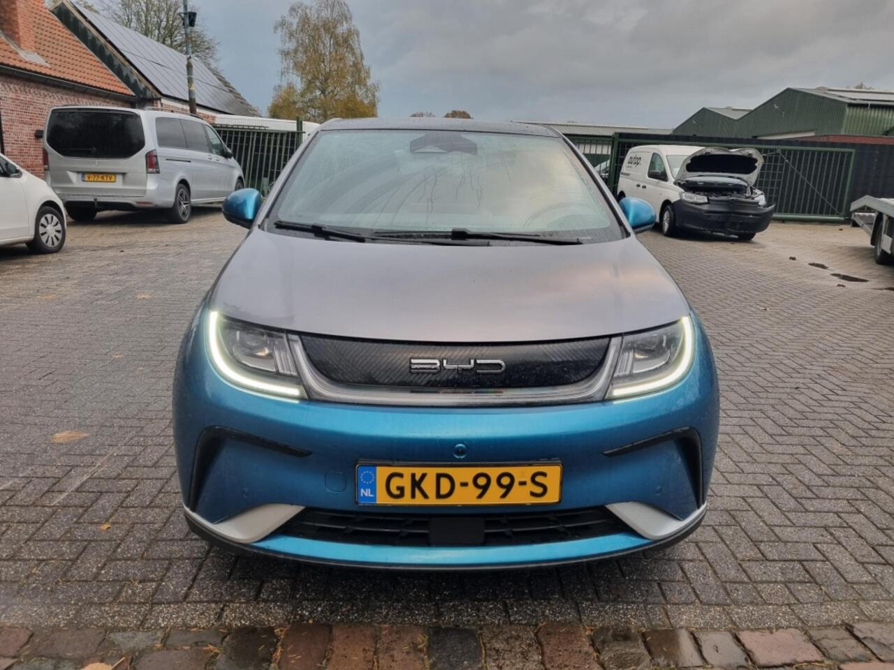 BYD Dolphin Design 60.4 kWh