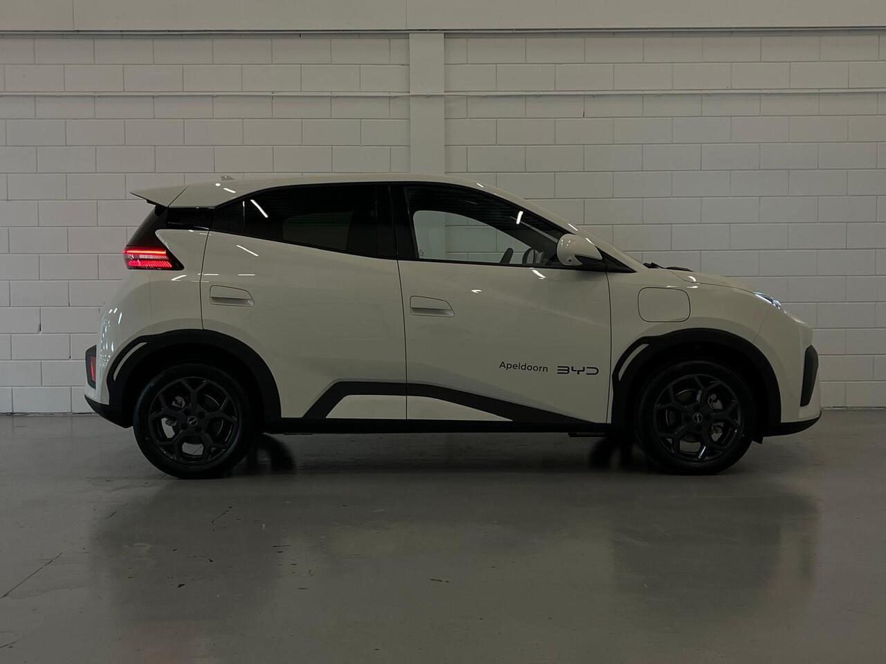 BYD Dolphin SURF Comfort 43 kWh