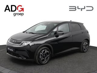 byd-dolphin-design-60.4-kwh--panor