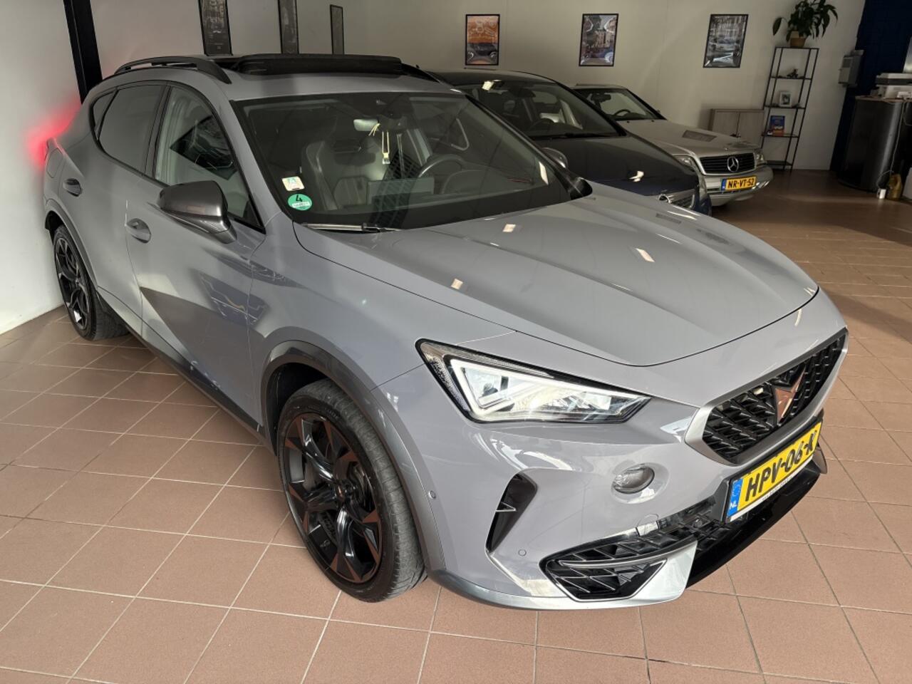 Cupra Formentor 2.0 TSI 4DRIVE PANO/311PK/BEATS/MEMORY