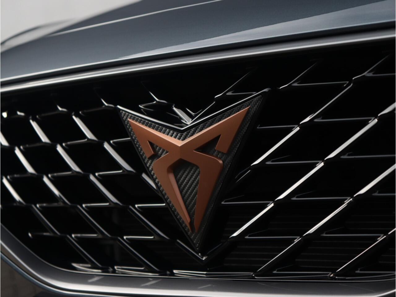 Cupra Formentor VZ 1.4 e-HYBRID 205 PK | Navi | Carplay | LED | Camera | 19"