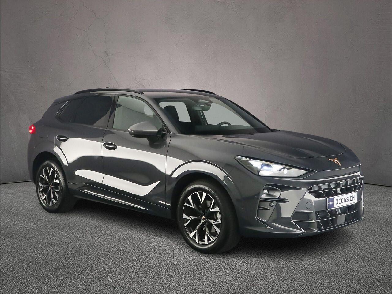 Cupra Terramar Business 1.5 eTSI 150pk DSG Automaat Adaptive cruise control, Elektrische achterklep, 360 camera, Achteruitrijcamera, LED matrix koplampen, Navigatie