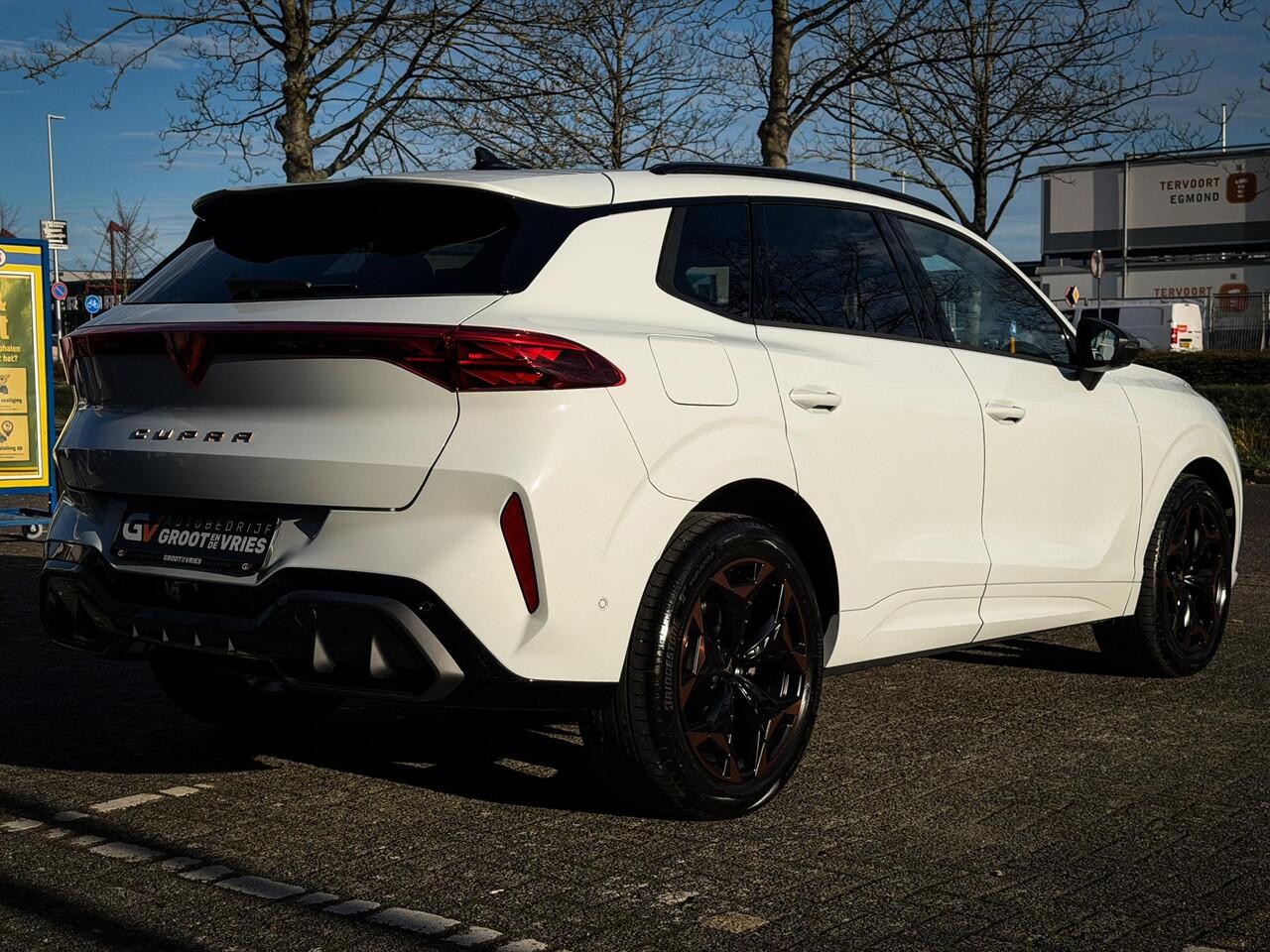 Cupra Terramar 1.5 TSI e-Hybrid Business 360 camera|Matrix LED|Sport-kuipstoelen|Memory