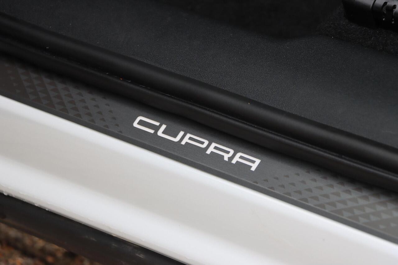 Cupra Terramar 1.5 TSI eTSI Business 150pk DSG7