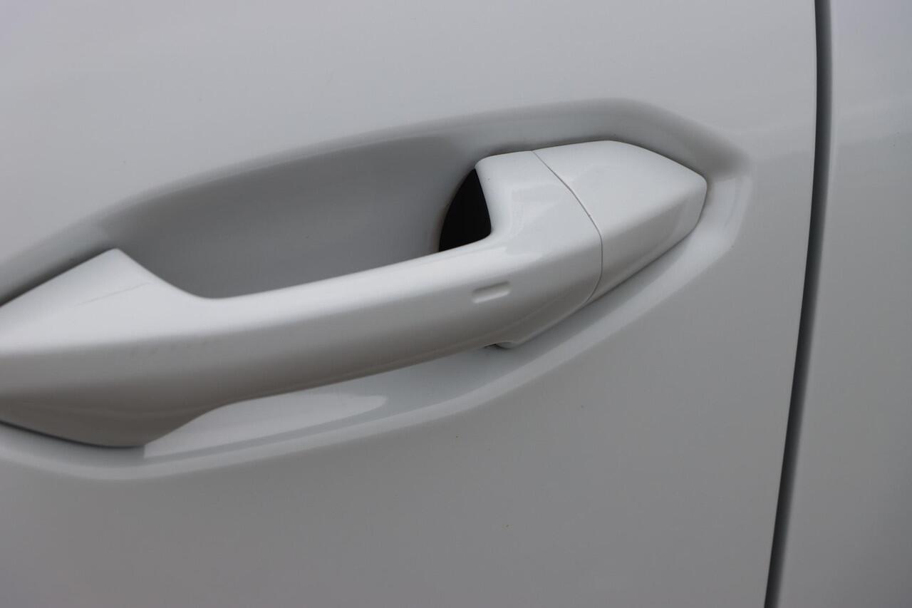 Cupra Terramar 1.5 TSI eTSI Business 150pk DSG7