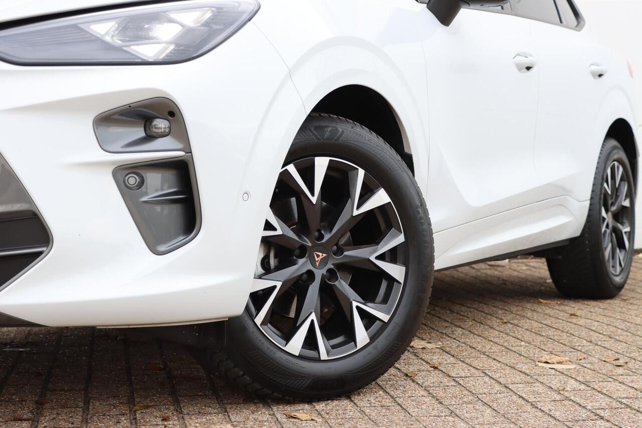 Cupra Terramar 1.5 TSI eTSI Business 150pk DSG7