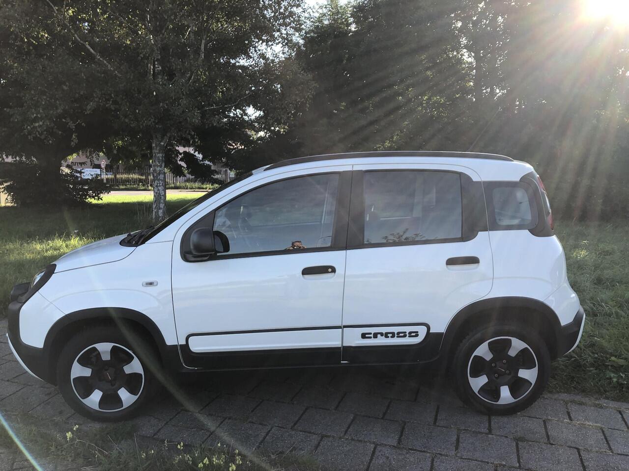 Fiat PANDA 1.2 City Cross CLIMATE|BLUETOOTH|PDC|5-PERSOONS