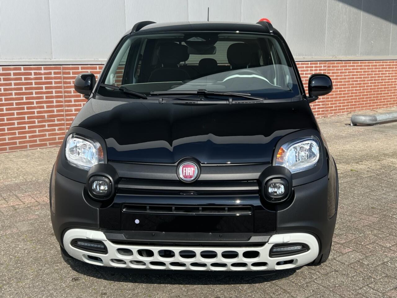 Fiat PANDA 1.0 Hybrid Pandina | Cruise Control | Carplay | Airco