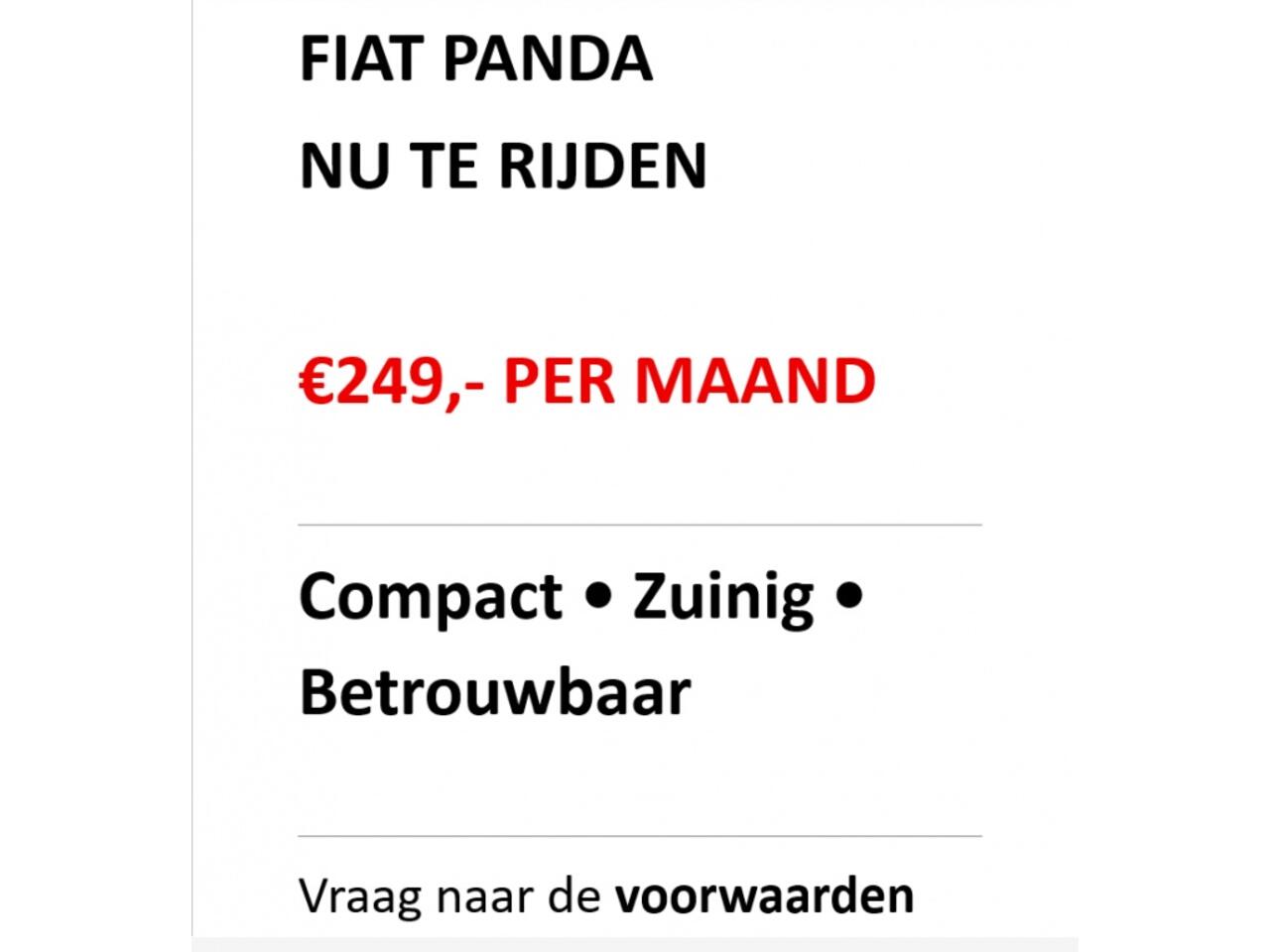 Fiat PANDA 1.0 Hybrid City / INCL. 2 jaar FabrieksGarantie