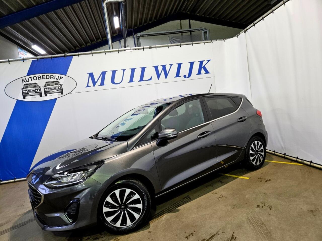 Ford FIESTA 1.0 EcoBoost Hybrid Titanium / Winterpack / NL Auto