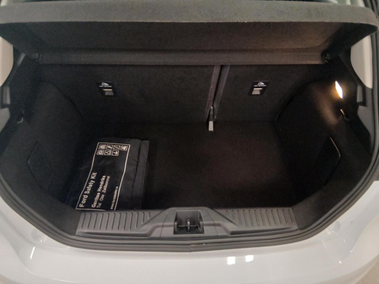 Ford FIESTA 1.0 EcoBoost 100PK Connected 5 deurs