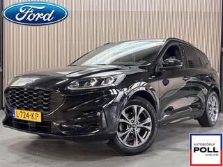 ford-kuga-150pk-st-line-x-panoramad