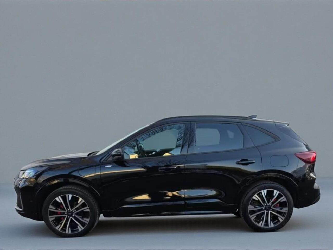 Ford KUGA 2.5 PHEV ST-Line X | Panoramadak