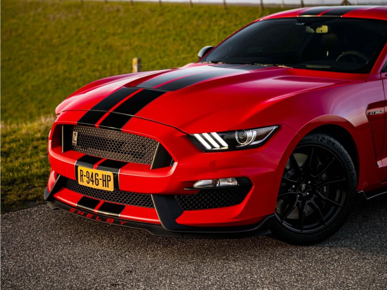 Ford MUSTANG SHELBY GT350 1 owner Collectors item