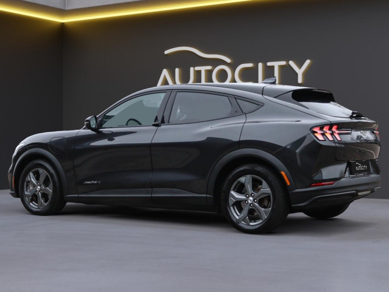 Ford MUSTANG Mach-E 99kWh Extended Range 95% SOH l Winterpakket l Leder