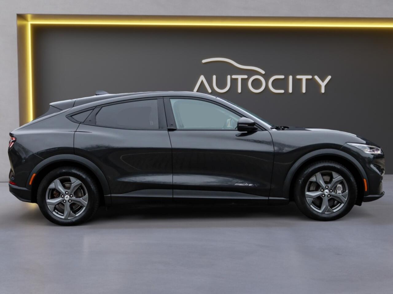 Ford MUSTANG Mach-E 99kWh Extended Range 95% SOH l Winterpakket l Leder