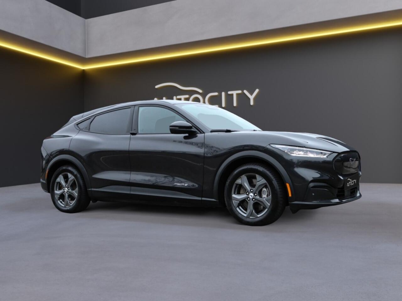 Ford MUSTANG Mach-E 99kWh Extended Range 95% SOH l Winterpakket l Leder