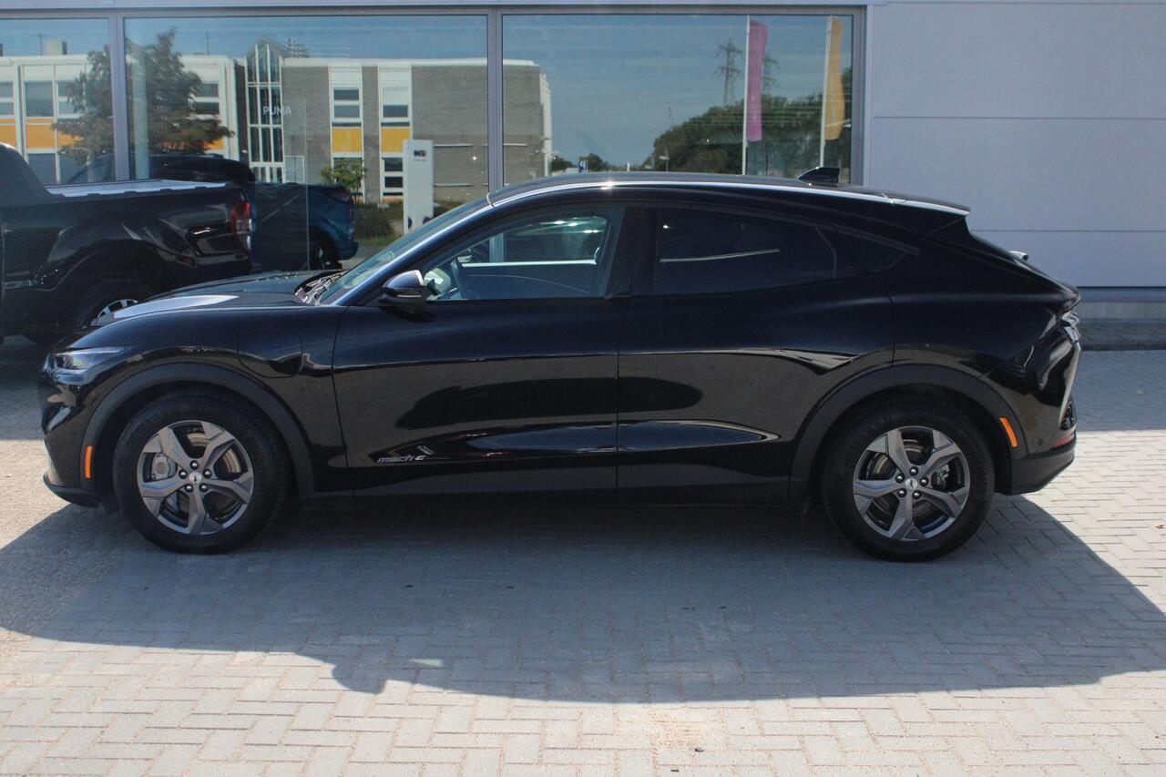 Ford MUSTANG Mach-E RWD 75 kWh 269pk | Technology Pack + | Adaptieve cruise | Winterpack |