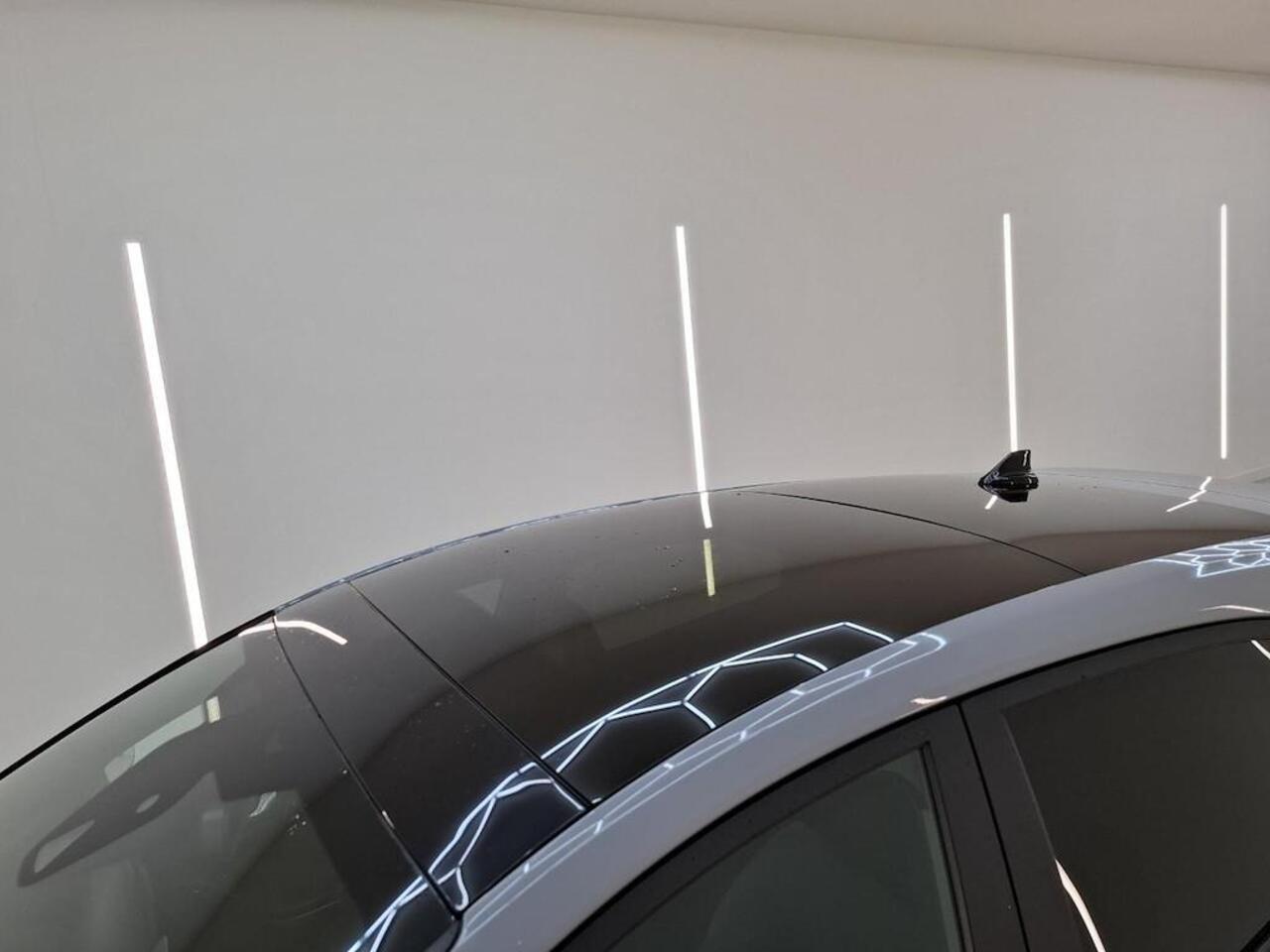 Ford PUMA 125pk Eco Hybrid ST-Line X Panoramadak Trekhaak Leer B&O Navi Climat Cruise Dealeronderhouden