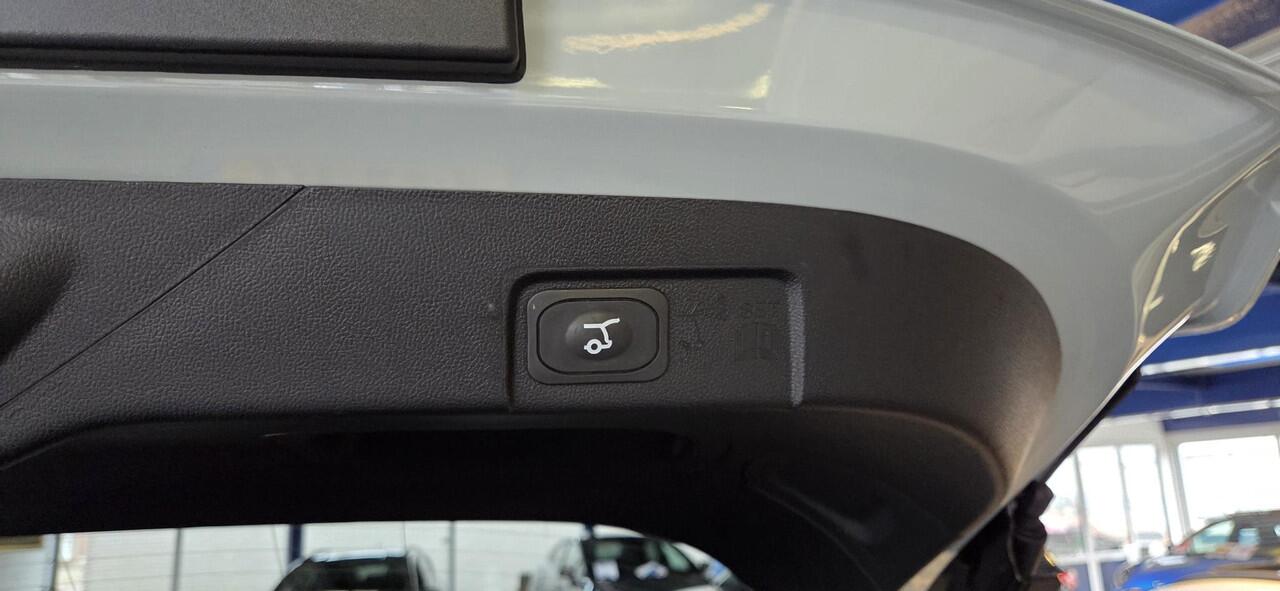 Ford PUMA 1.0 EcoBoost Hybrid Titanium Cactus Grey Nieuwstaat!!