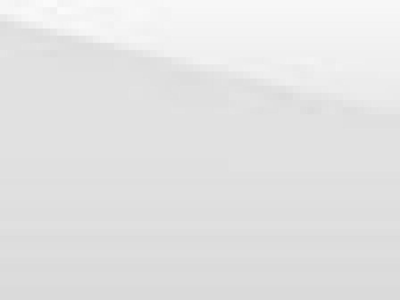 Ford TRANSIT CUSTOM Kombi 9 pers. Vol. elektr. 65 kWh . 340 L2H1 100kW Trend