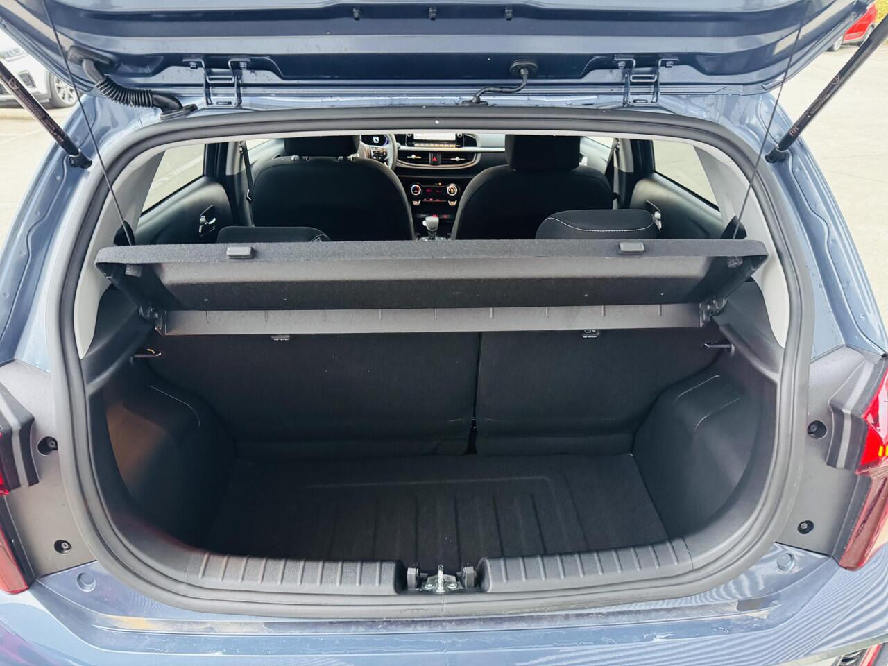 KIA PICANTO 1.0 DPI ExecutiveLine Stoel&Stuurverwarming | Clima | Cruise | Navi | Demo auto