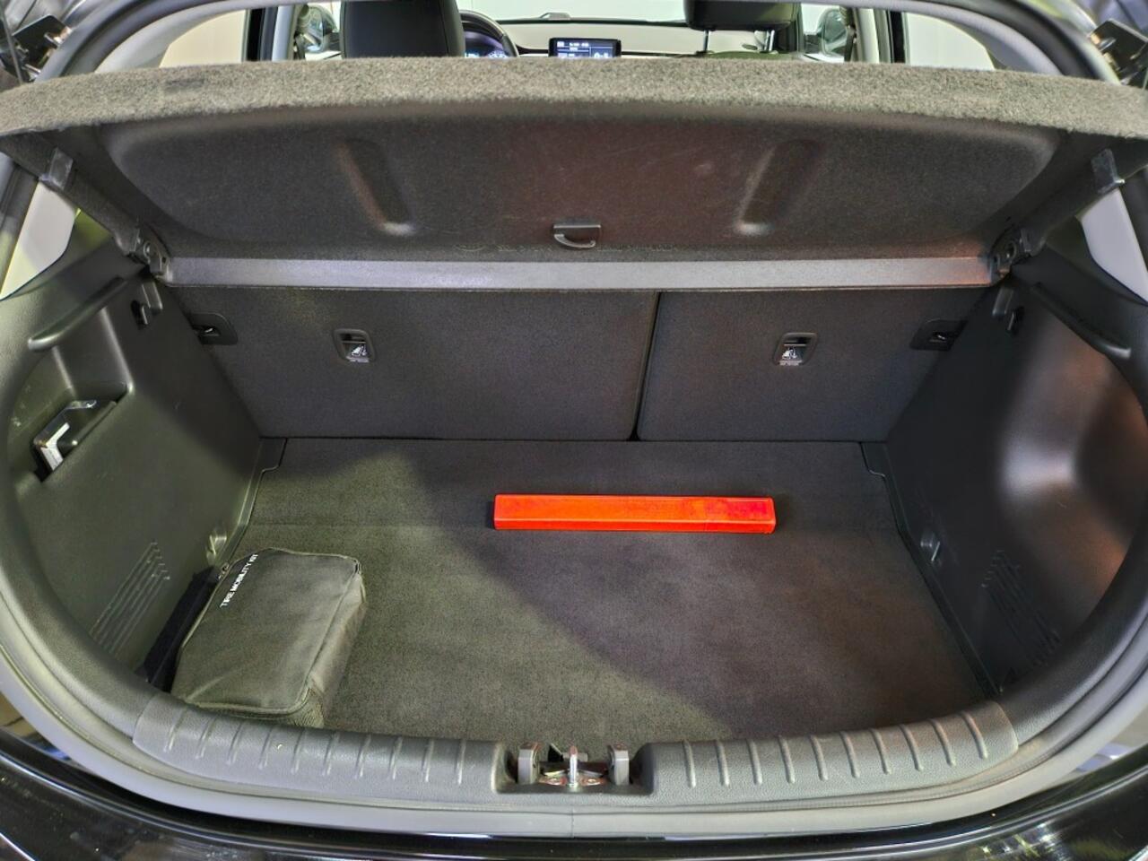 KIA RIO 1.0 T-GDi MHEV DynamicLine / Camera / CarPlay / NL Auto