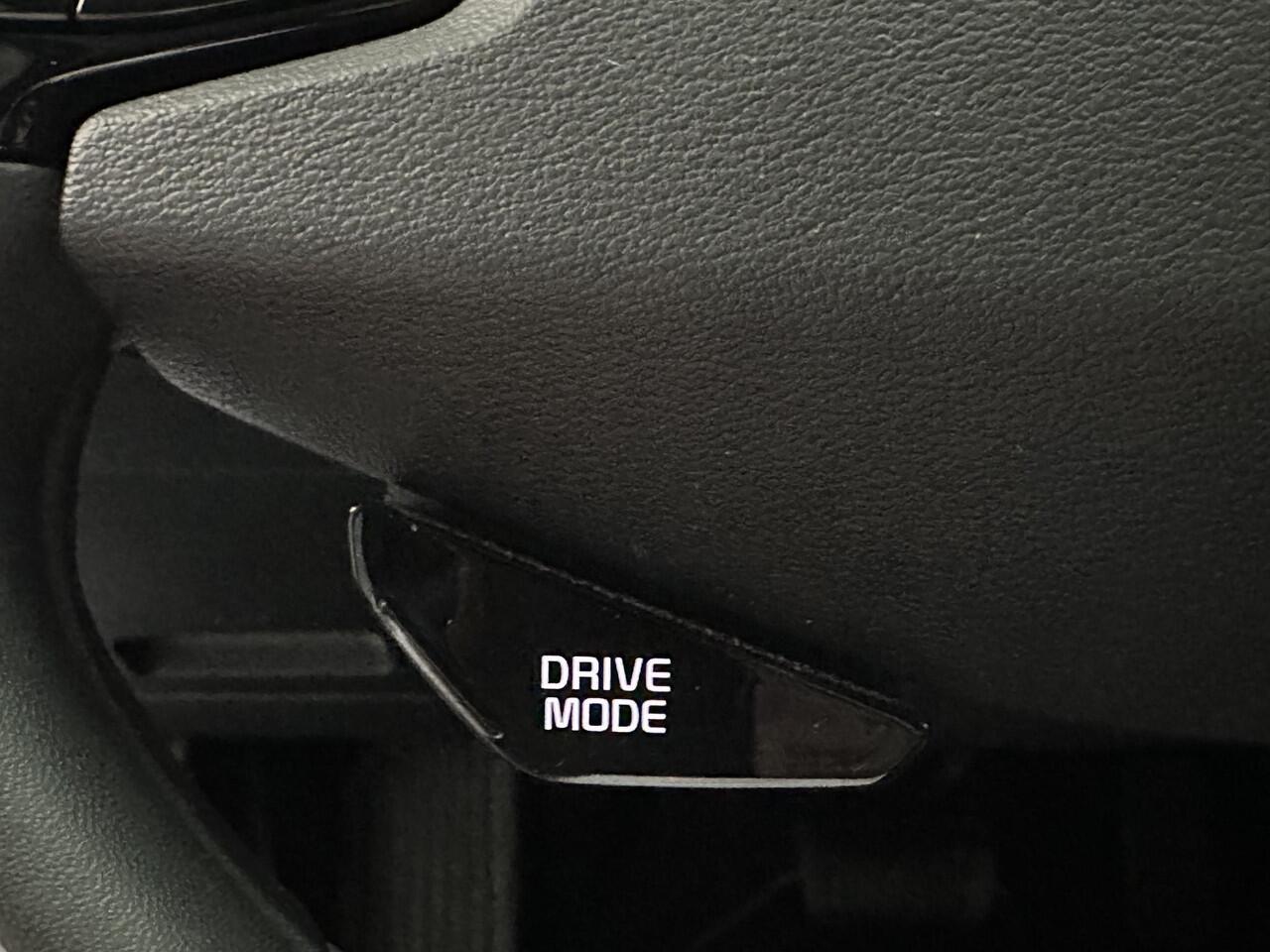 KIA e-Niro EV DynamicLine 64.8 kWh Silver Edition, zeer nette auto in een unieke kleursamenstelling