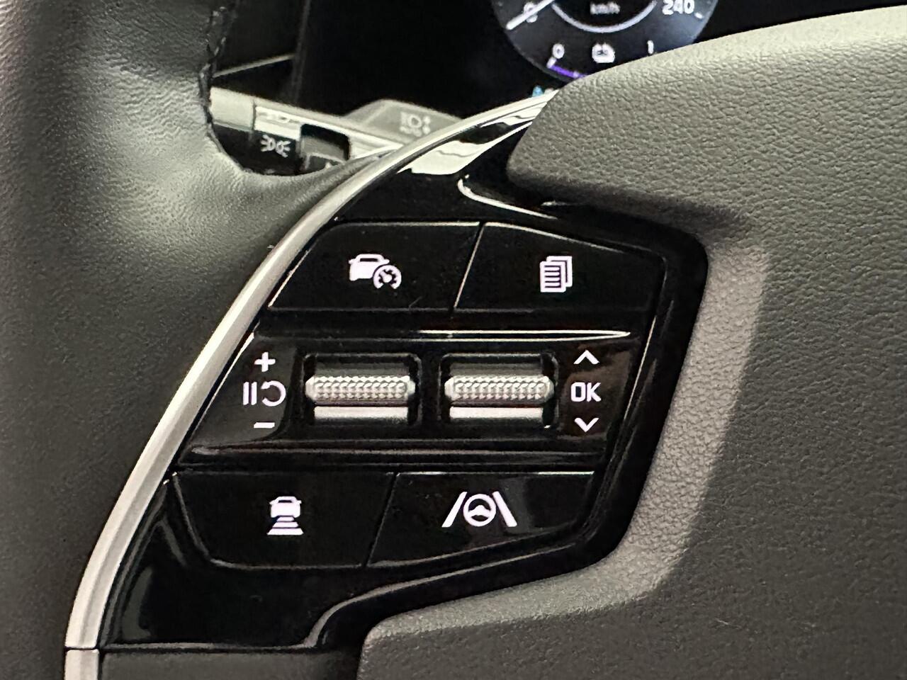 KIA e-Niro EV DynamicLine 64.8 kWh Silver Edition, zeer nette auto in een unieke kleursamenstelling