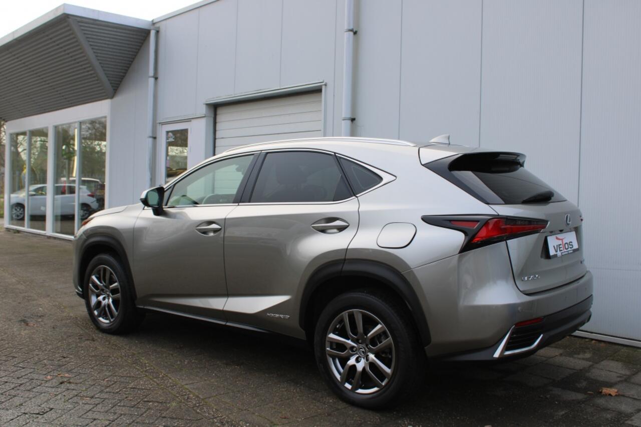 Lexus NX NX300h AWD Business Line
