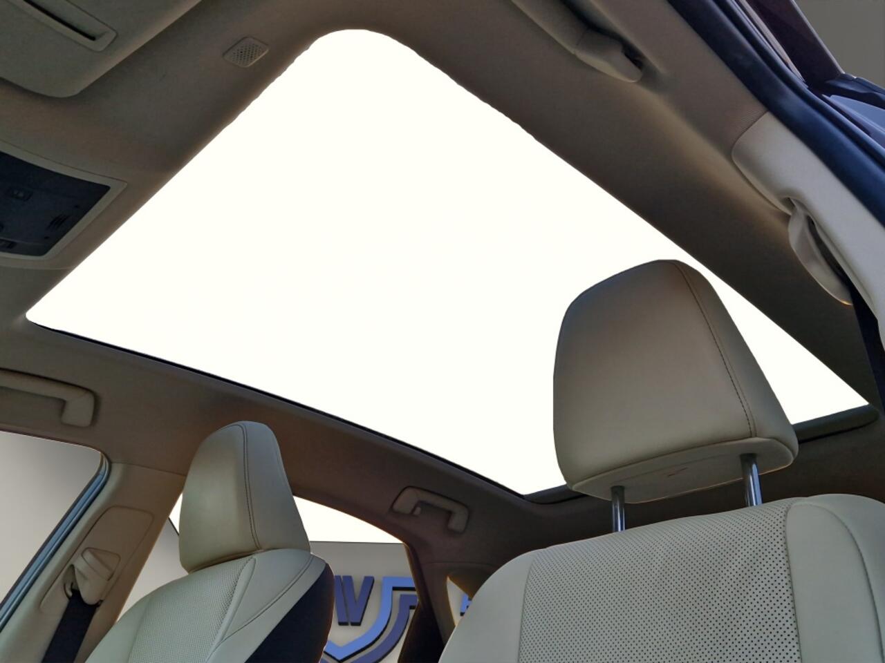 Lexus NX 300h AWD Executive Line + President Pack - NL Auto - Panodak