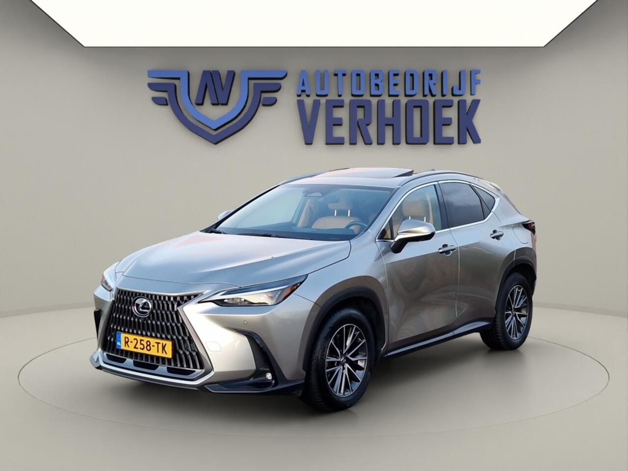 Lexus NX 450h+ AWD Launch Edition NL Auto - Schuifdak