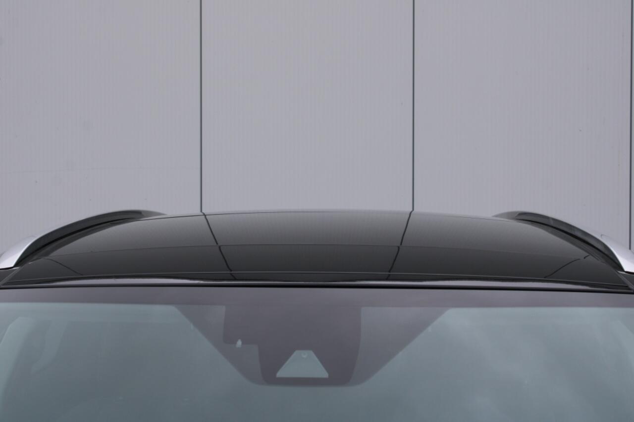 Lexus RX 450h 4WD Luxury Line Panorama dak