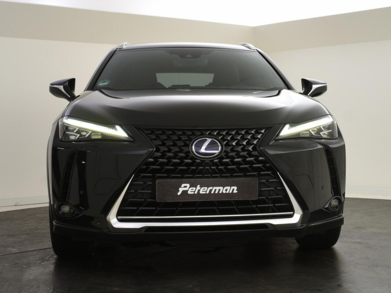Lexus Ux 250h Premium Edition | Leder | PDC V+A | Stoelverwarming