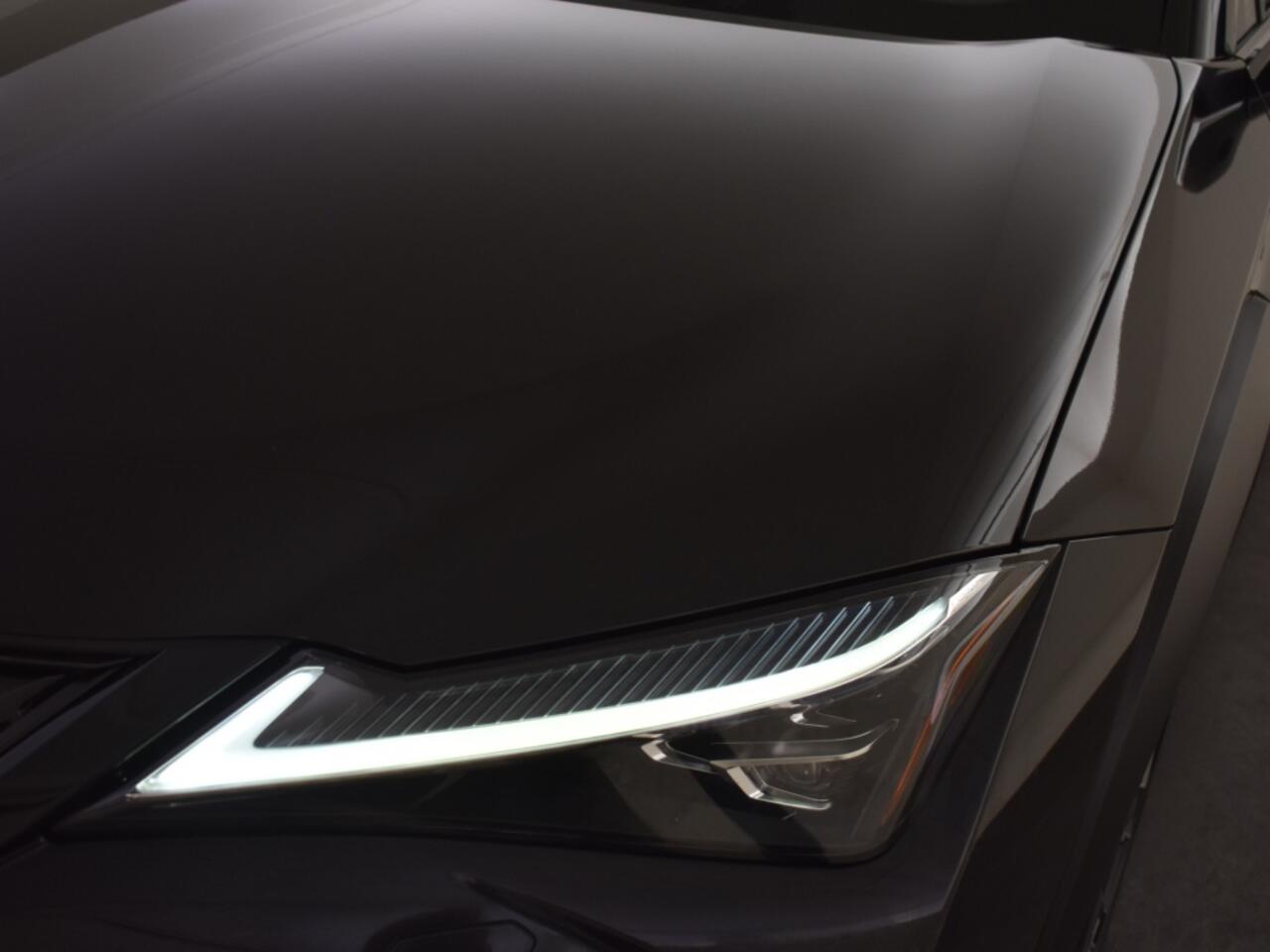 Lexus Ux 250h Premium Edition | Leder | PDC V+A | Stoelverwarming