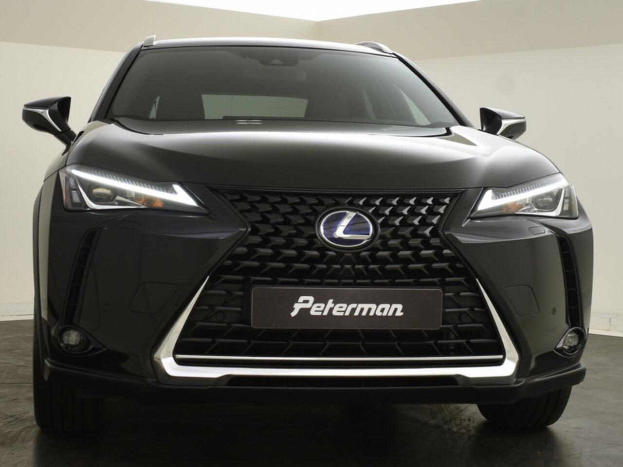 Lexus Ux 300e Luxury | Leer | Stoelventilatie | Carplay | PDC V+A