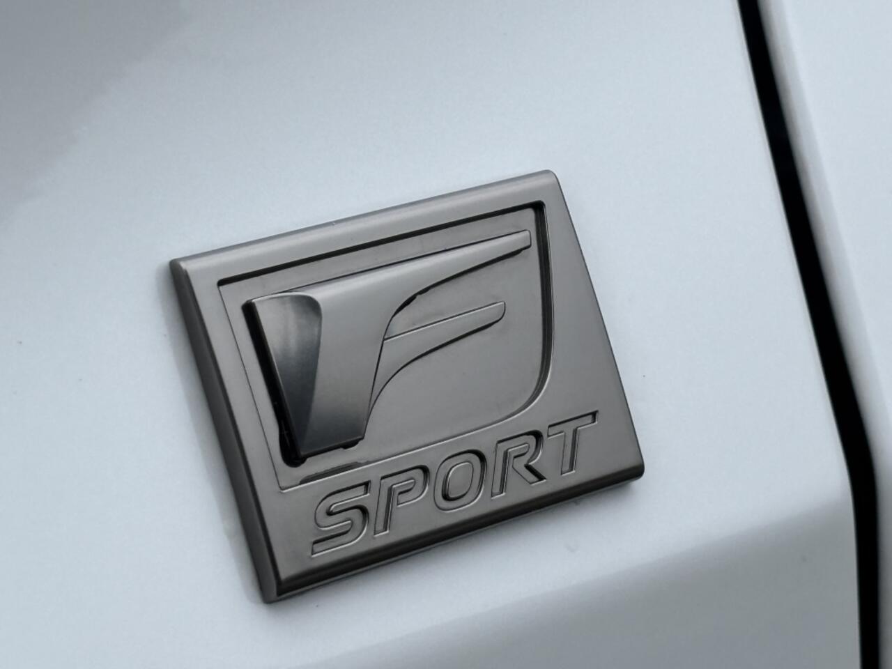 Lexus Ux 300h F-Sport Design Leder ACC Camera Blindspot 18'' BTW